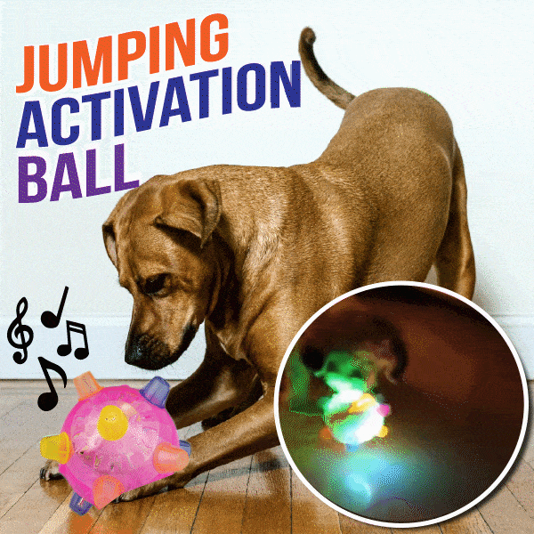 Sherum Pet Ball Endless Entertainment for Your Furry Friend!