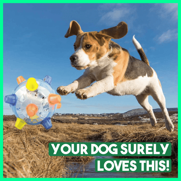 Sherum Pet Ball Endless Entertainment for Your Furry Friend!
