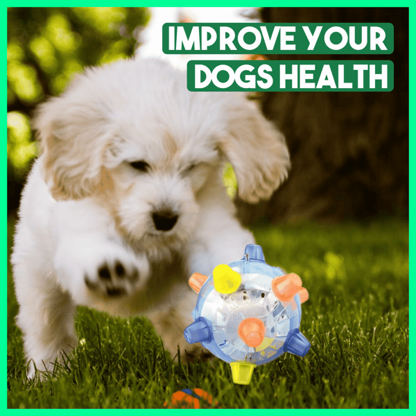 Sherum Pet Ball Endless Entertainment for Your Furry Friend!